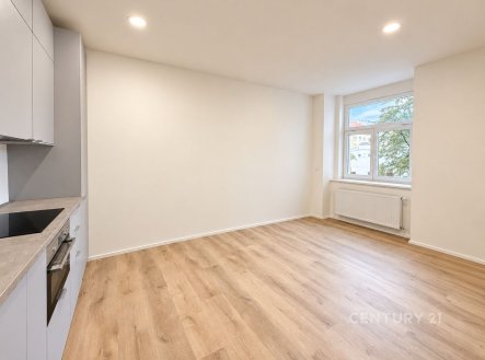 Pronájem bytu, garsoniéra, 27 m²