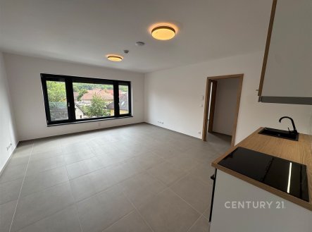 Pronájem bytu, 3+kk, 52 m²