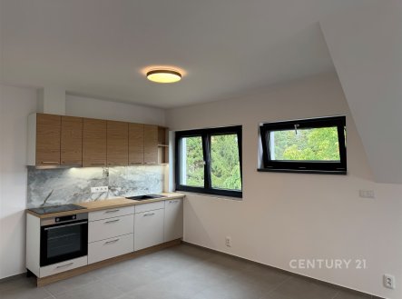 Pronájem bytu, 3+kk, 52 m²
