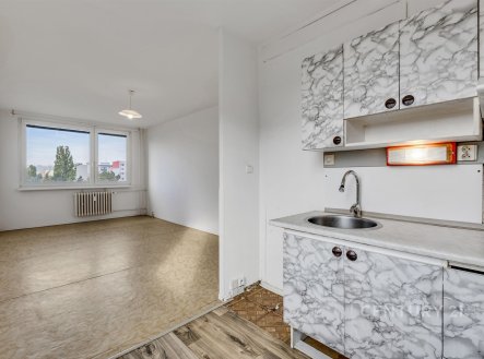 Prodej bytu, 2+kk, 44 m²