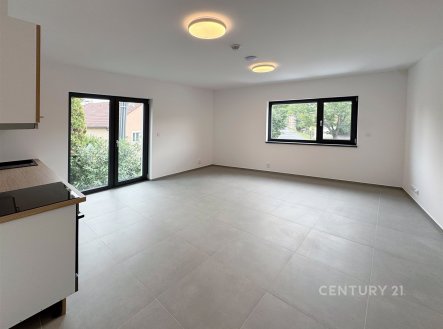 Pronájem bytu, 2+kk, 52 m²