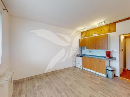 Pronájem bytu, 1+kk, 21 m²