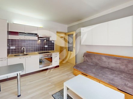 Pronájem bytu, 1+kk, 25 m²