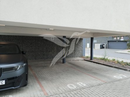 Pronájem , 12 m²
