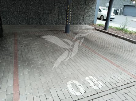 Pronájem , 12 m²