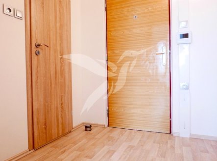 Pronájem bytu, 1+kk, 31 m²