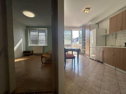 Pronájem bytu, 1+1, 42 m²