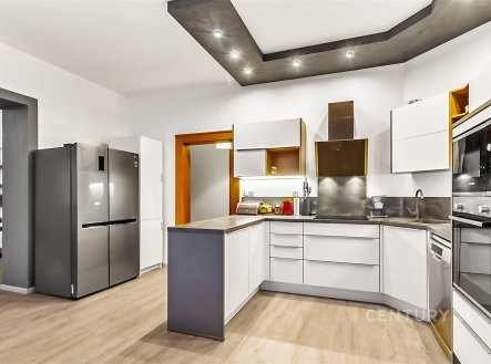 Prodej domu/vily, 410 m²