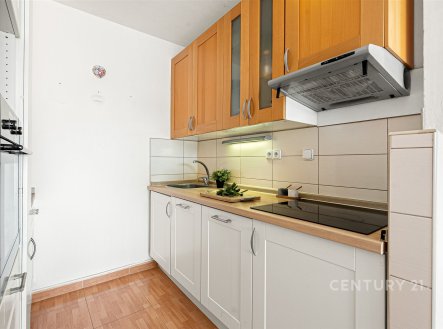 Prodej bytu, 2+kk, 47 m²