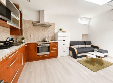 Pronájem domu/vily, 25 m²