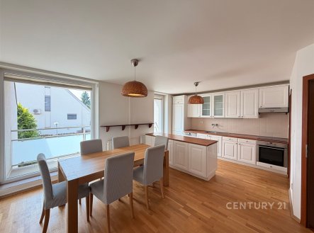 Pronájem domu/vily, 258 m²