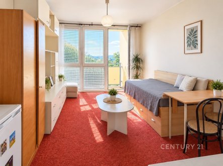 Pronájem bytu, 1+kk, 26 m²