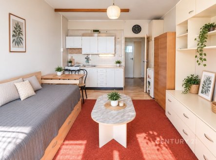Pronájem bytu, 1+kk, 26 m²