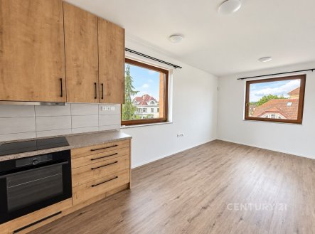 Pronájem bytu, 3+kk, 53 m²