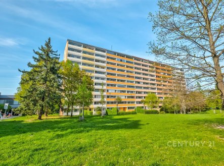Prodej bytu, 1+1, 41 m² obrázek