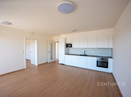 Pronájem bytu, 4+kk, 84 m²