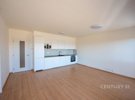 Pronájem bytu, 4+kk, 84 m²