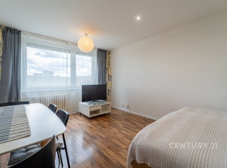 Prodej bytu, 1+1, 30 m²