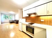 Pronájem bytu, 2+kk, 49 m²