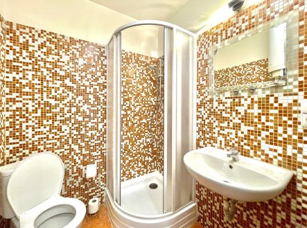 Pronájem bytu, 1+1, 35 m²