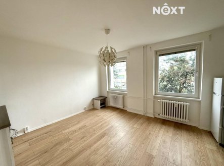 Pronájem bytu, 1+kk, 25 m²