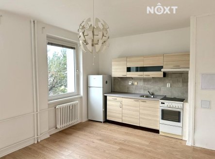 Pronájem bytu, 1+kk, 25 m²
