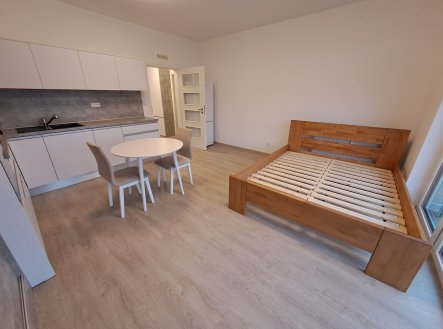 Pronájem bytu, 1+kk, 36 m²