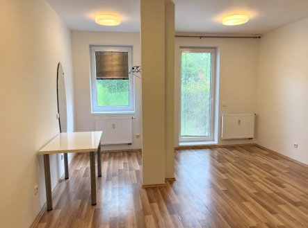 Pronájem bytu, 1+kk, 30 m²