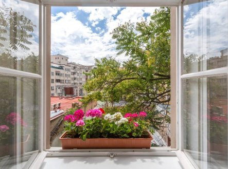 Pronájem bytu, jiný, 40 m²