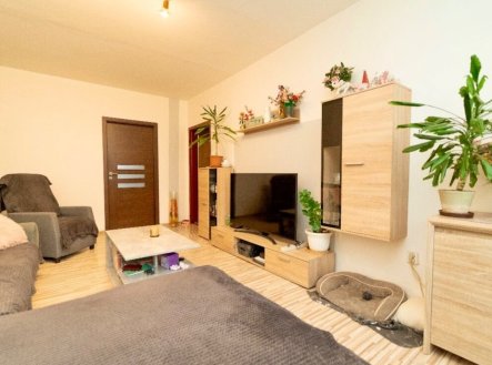 Prodej bytu, 3+1, 79 m²