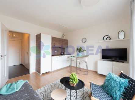 Pronájem bytu, 1+kk, 29 m² obrázek