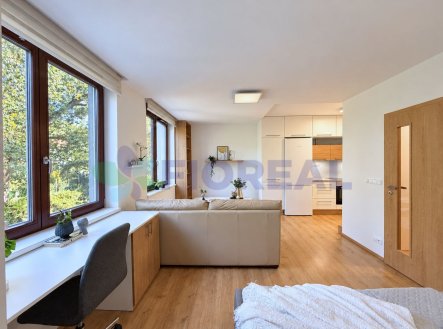 Prodej bytu, 1+kk, 33 m²