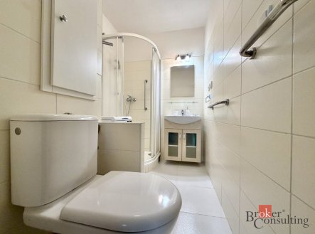 Prodej bytu, 2+1, 55 m²