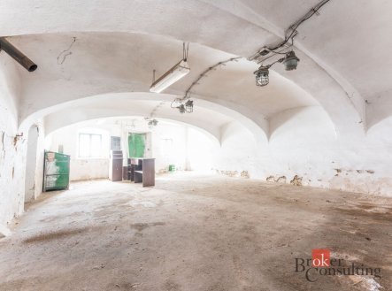Prodej - dům/vila, 700 m²