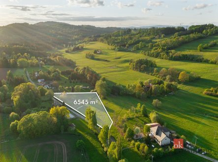 Prodej pozemku pro bydlení, 1 441 m²