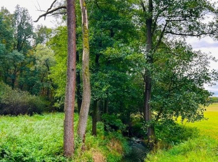 Prodej pozemku, trvalý travní porost, 1 277 m² obrázek