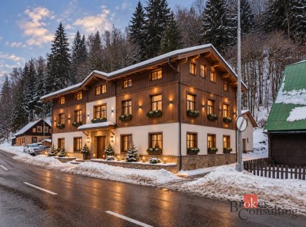 Prodej domu/vily, 400 m²