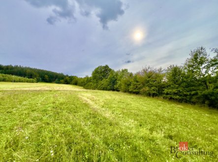 Prodej pozemku pro bydlení, 7 924 m²