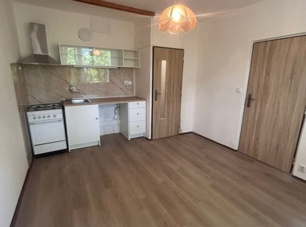 Pronájem bytu, 1+1, 36 m²