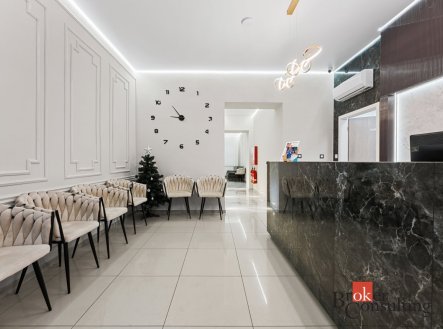 Prodej komerčního objektu, jiný, 238,5 m²
