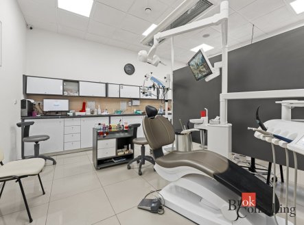 Prodej komerčního objektu, jiný, 238,5 m²