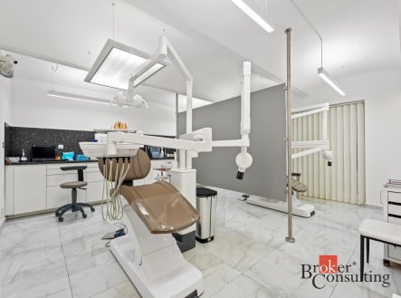 Prodej komerčního objektu, jiný, 238,5 m²