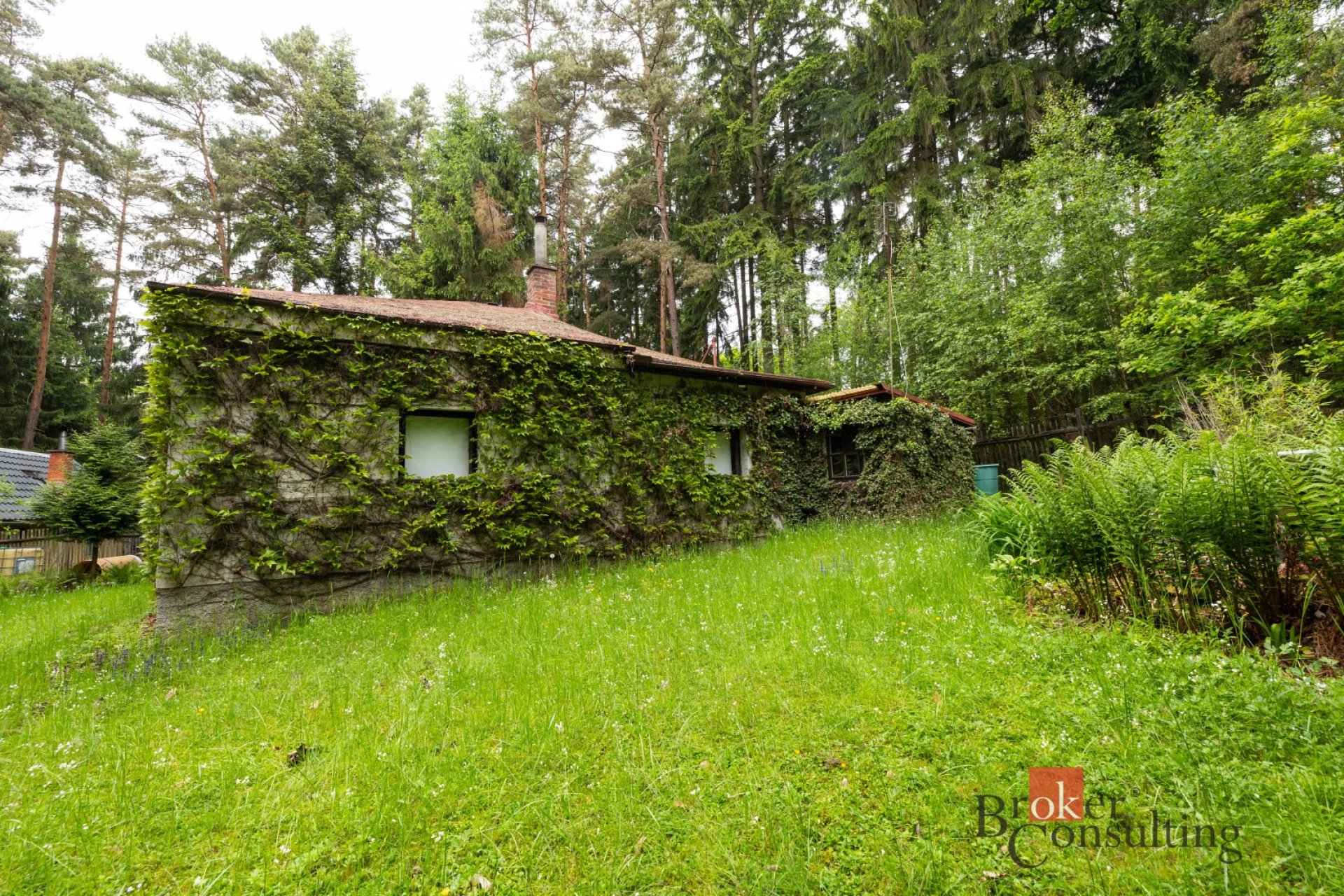 Prodej, pozemky/bydlení, 1366 m2, Letkov , Plzeň-město [ID 85799]