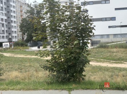 Pronájem pozemku pro komerční výstavbu, 1 698 m²