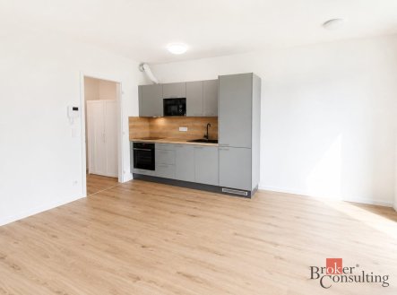 Prodej bytu, 1+kk, 34,9 m²