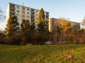 Pronájem bytu, 1+kk, 20 m²