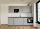 Pronájem bytu, 2+kk, 53 m²