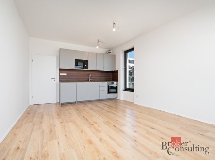 Pronájem bytu, 2+kk, 53 m²
