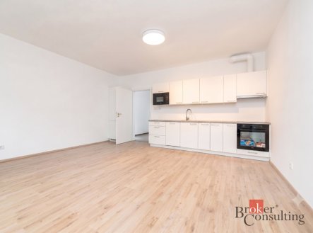 Prodej bytu, 1+kk, 36,96 m²