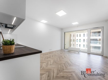 Pronájem bytu, 1+kk, 48 m²